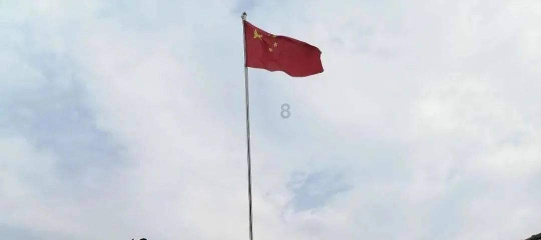 拯救穆尔小马
