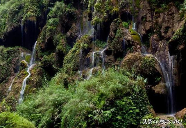 愿意来,更留得住!丰台“强磁力”引贤聚才