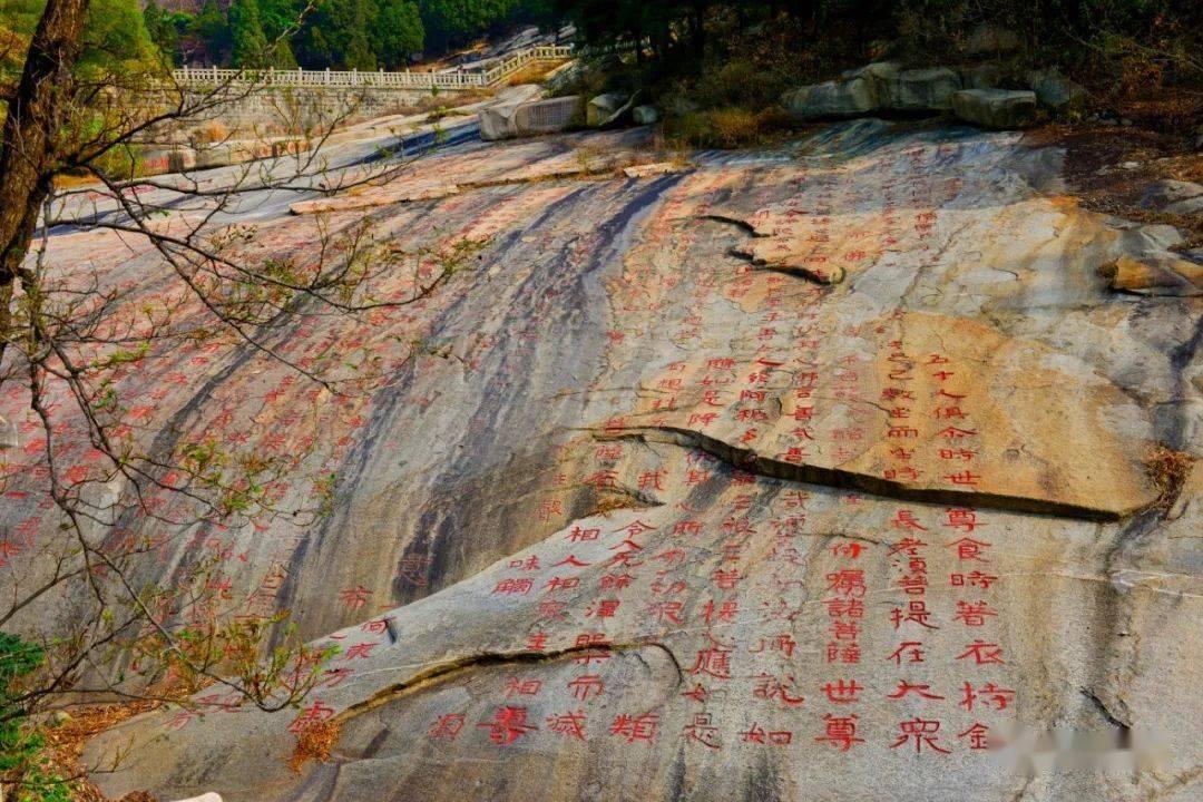 奥森弗里